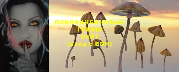 ГАЛЛЮЦИНОГЕННЫЕ ГРИБЫ Богданович