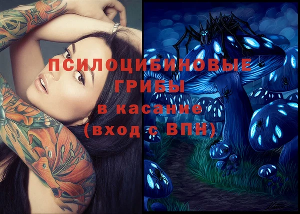 эйфоретик Беломорск