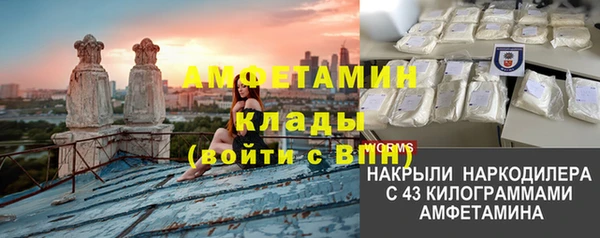 ГАЛЛЮЦИНОГЕННЫЕ ГРИБЫ Богданович